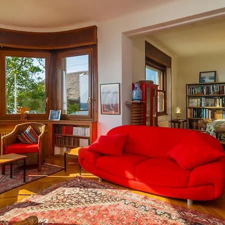 Concise Exceptional View * Thonon-les-Bains